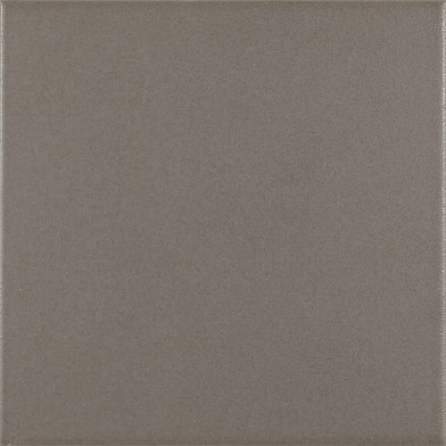 Напольная плитка Ribesalbes Pasion Base Gris 20x20