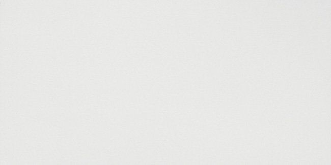 Настенная плитка Atlas Concorde 3D Wall Solid White Matt 40x80