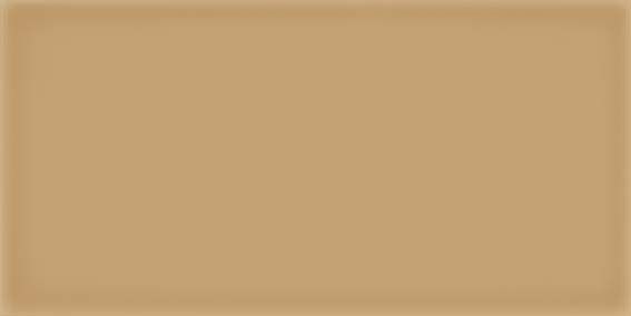 Настенная плитка Vives Ceramica Corso Caramelo 10x20