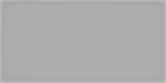Настенная плитка Vives Ceramica Corso Gris 10x20