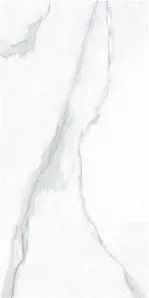 Керамогранит Sina Tile & Ceramic Ind.co Ramila Polish 2483 60x120