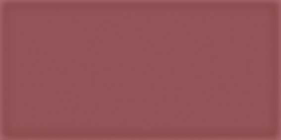 Настенная плитка Vives Ceramica Corso Burdeos 10x20