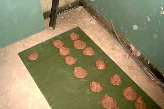 Укладка плитки на гипсокартон