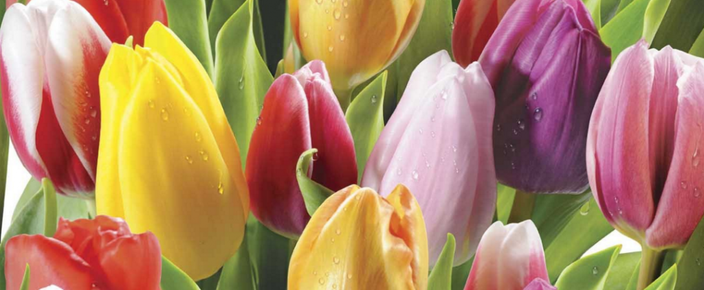 Kerama Marazzi - коллекция Ellen.png