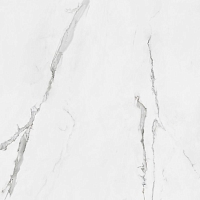 Керамогранит Pamesa Cr. Cellini Blanco (6mm) Pul. Rect. 120x260