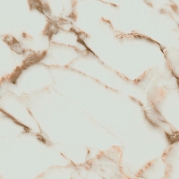 Керамогранит Pamesa Arabescato Gold Rect. 60x120