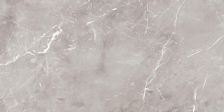 Керамогранит Ariana Ceramica Epoque Grey Lap 60x120