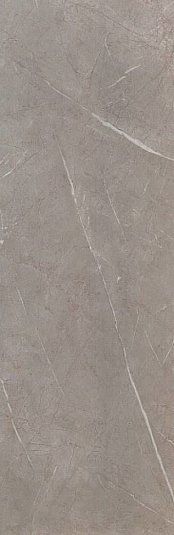 Настенная плитка Atlas Concorde Marvel Silver Dream 30.5x56