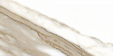 Керамогранит Fanal Calacatta NPlus 60x120