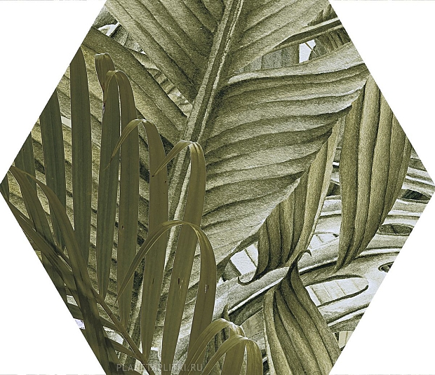 Керамогранит Pamesa Hex. Vegetal Trend Green 25.8x29