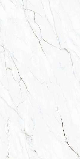 Керамогранит Orient Ceramic Oriental Statuario carving 60x120