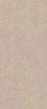 Керамогранит Atlas Concorde Boost Natural Ash 120x278