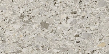 Керамогранит 50х100 Monocibec Salar Major 42Box 50x100