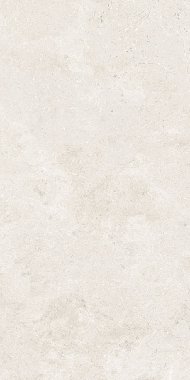 Керамогранит ITT Ceramic Salma Bone Matt 59.5x119.2