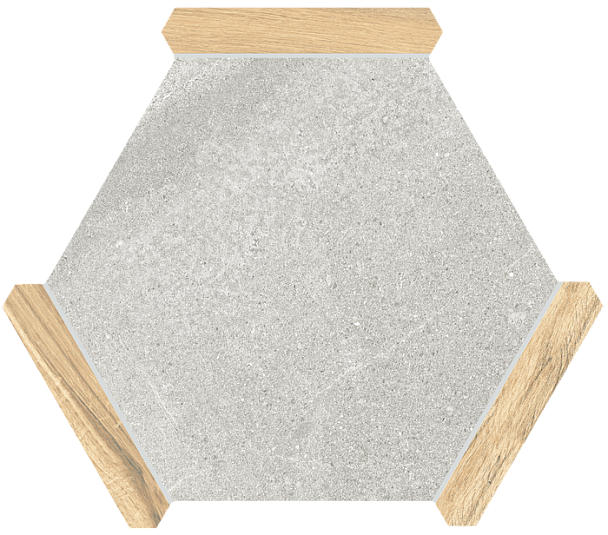 Керамогранит Monopole Avant Sacramento Ceniza Pino 22x25