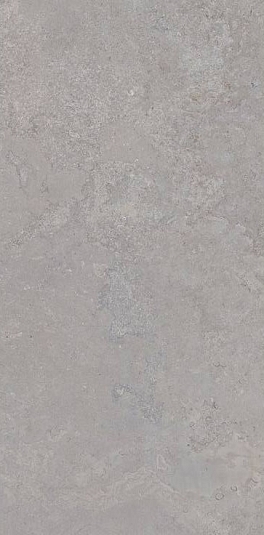 Керамогранит TAU Ceramica Dorset Silver 60x120