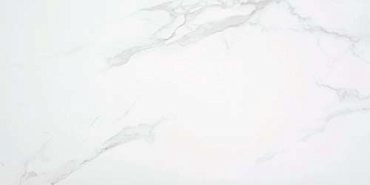Керамогранит STN Ceramica Purity P.E. Pul. White Rect  60x120