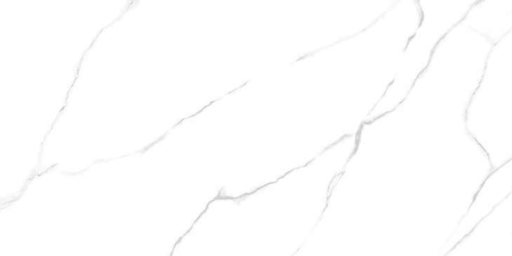 Керамогранит LCM 60120AMR00P Atlantic Marble 60x120