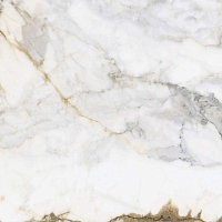 Керамогранит Pamesa Cr. Pisa Gold Rain (Luxglass) 60x120