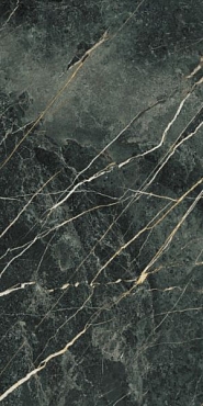 Керамогранит B-PLUS Wacom Moss Pulido 60x120