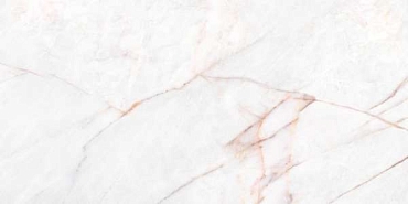 Керамогранит Museum Dahlia White 60x120