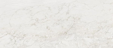 Керамогранит Century Medley Prince Molato 120x278