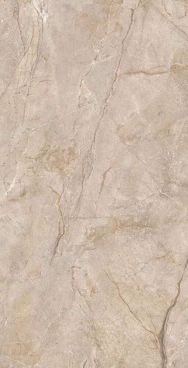 Керамогранит Ocean Ceramic Monterial Taupe 60x120