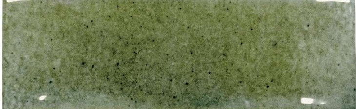  Smile Tile Jazz Mint 7.5x22.5