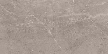Керамогранит Piemme Ceramiche Majestic Supreme Grey 60x119.5