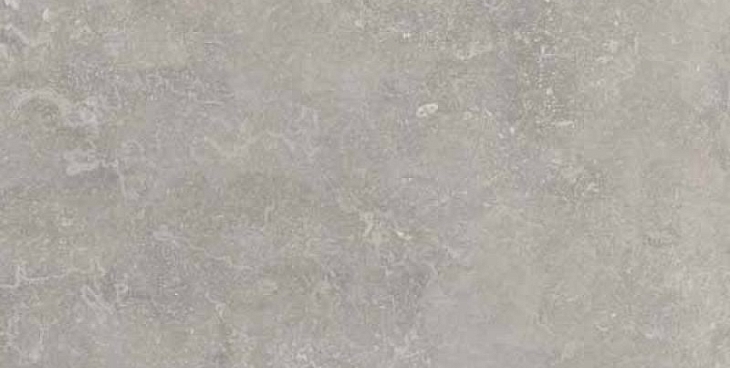 Керамогранит Ariana Ceramica Memento Bruges Grey Ant R 60x120
