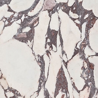 Керамогранит Pamesa Cr. Lux Viola 1 Pul. Rect. 60x120