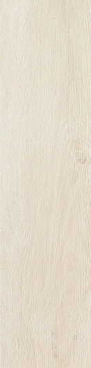 Керамогранит Atlas Concorde Frame Magnolia Ret 22.5x90