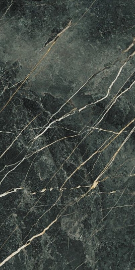 Керамогранит B-PLUS Wacom Moss Pulido 60x120