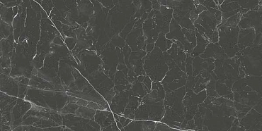 Керамогранит B-PLUS Fox Graphite Natural 60x120