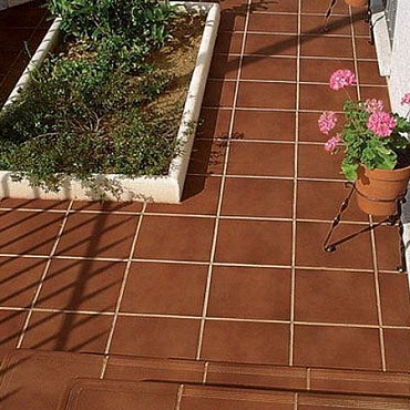 Nature Base Asper8.6x31