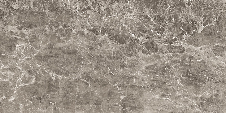 Керамогранит Nexion Leptis Emperador Grigio 60x120