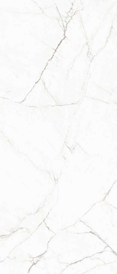 Керамогранит Ocean Ceramic Statuario Super 120x278