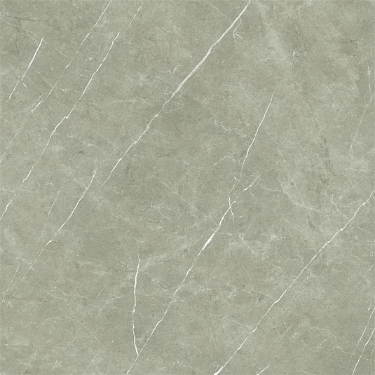Керамогранит Baldocer Eternal Taupe Natural 60x60