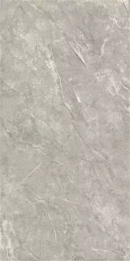 Керамогранит Sina Tile & Ceramic Ind.co Nismo Grey Polish 60x120