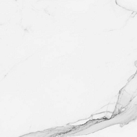 Керамогранит Pamesa Calacata White 1 Rect. 60x120