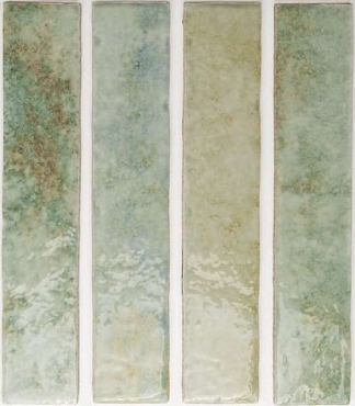  WOW Potters Agave 5x25