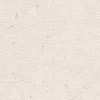 Настенная плитка Ibero Botanical Natural Rect. 30x90