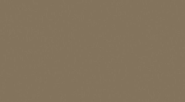 Настенная плитка Tubadzin W- Mocca 1 32.7x59.3