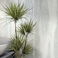 Керамогранит B-PLUS Parsel