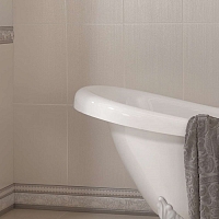 Плитка Peronda Baikal