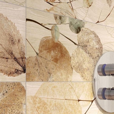 FI 9 Foliage Noce20x80