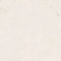 Керамогранит Pamesa Antic Velhira White 60x120