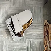 Керамогранит Rex Prexious