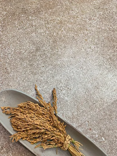 Плитка La Platera Plaza